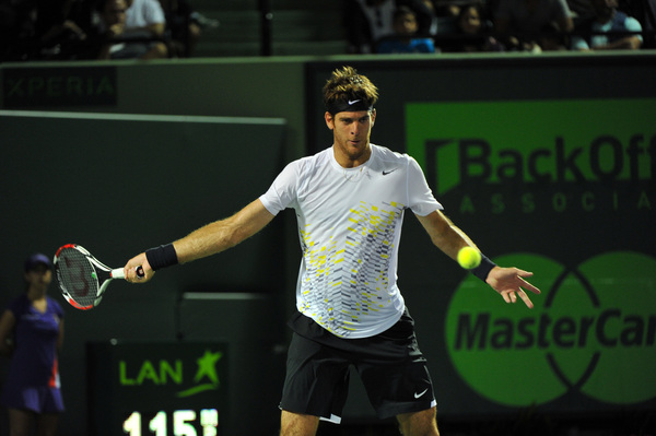 delpotro 1
