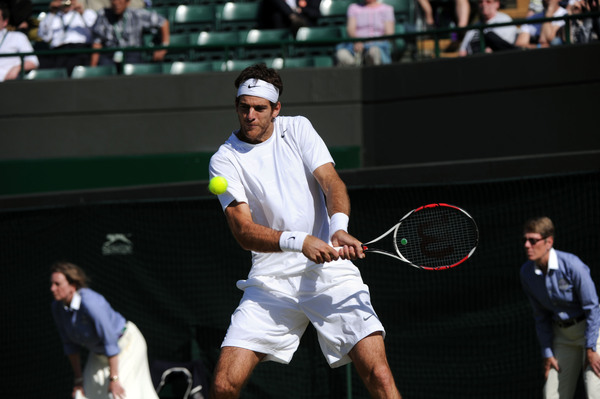 delpotro 3