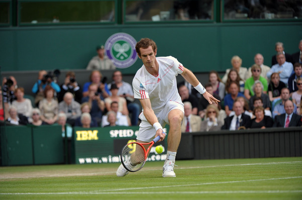 murray 1
